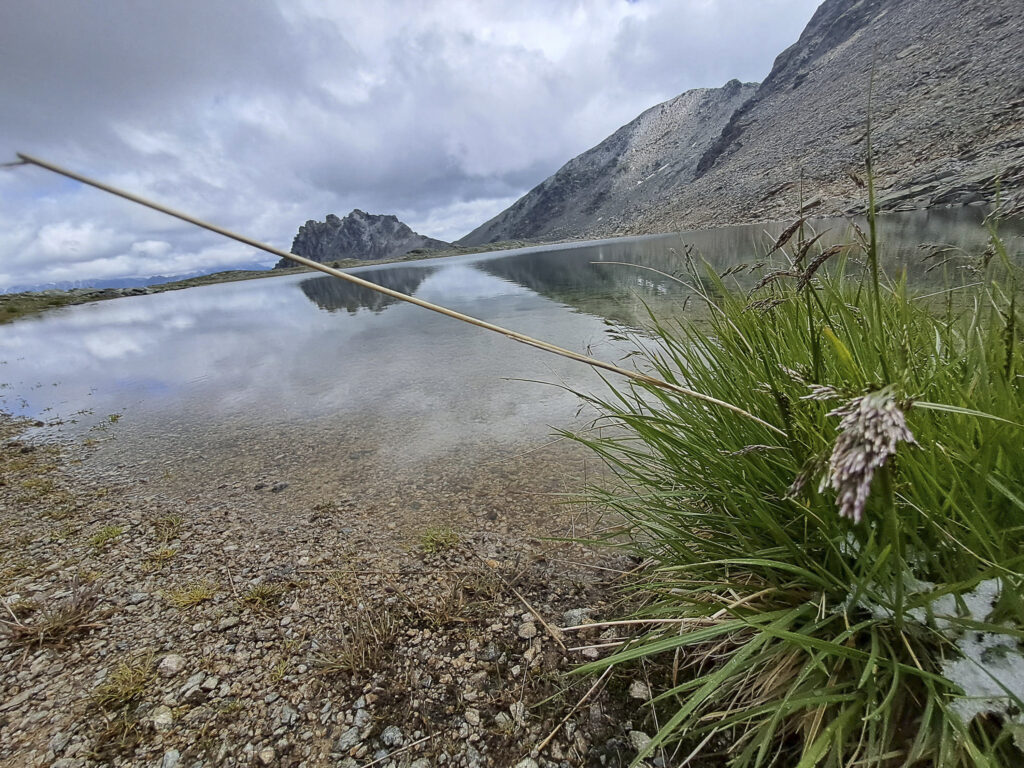 20230726 132300 1024x768