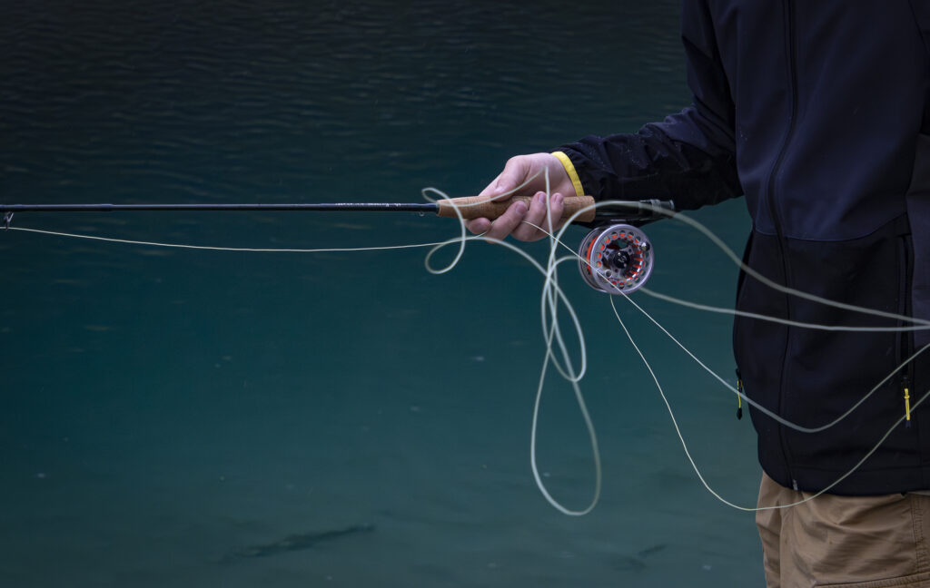 IMG 6491 Verbessert RR 1024x648