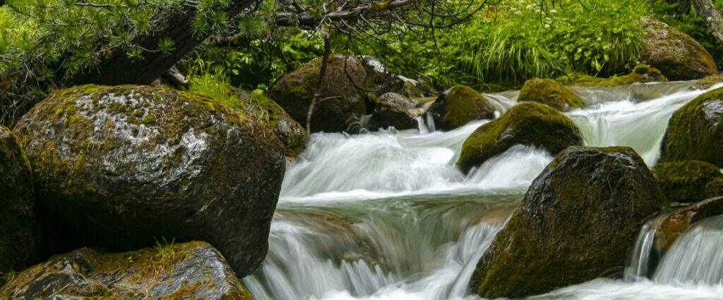 Cropped IMG 8090 Scaled 1 1024x426