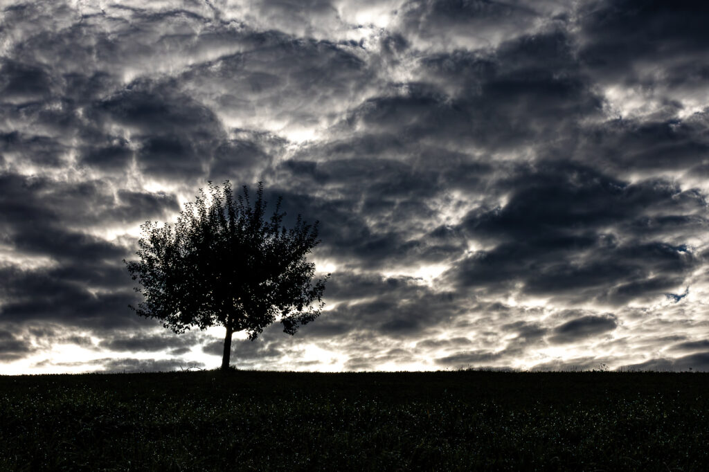 img 0064 verbessert rr