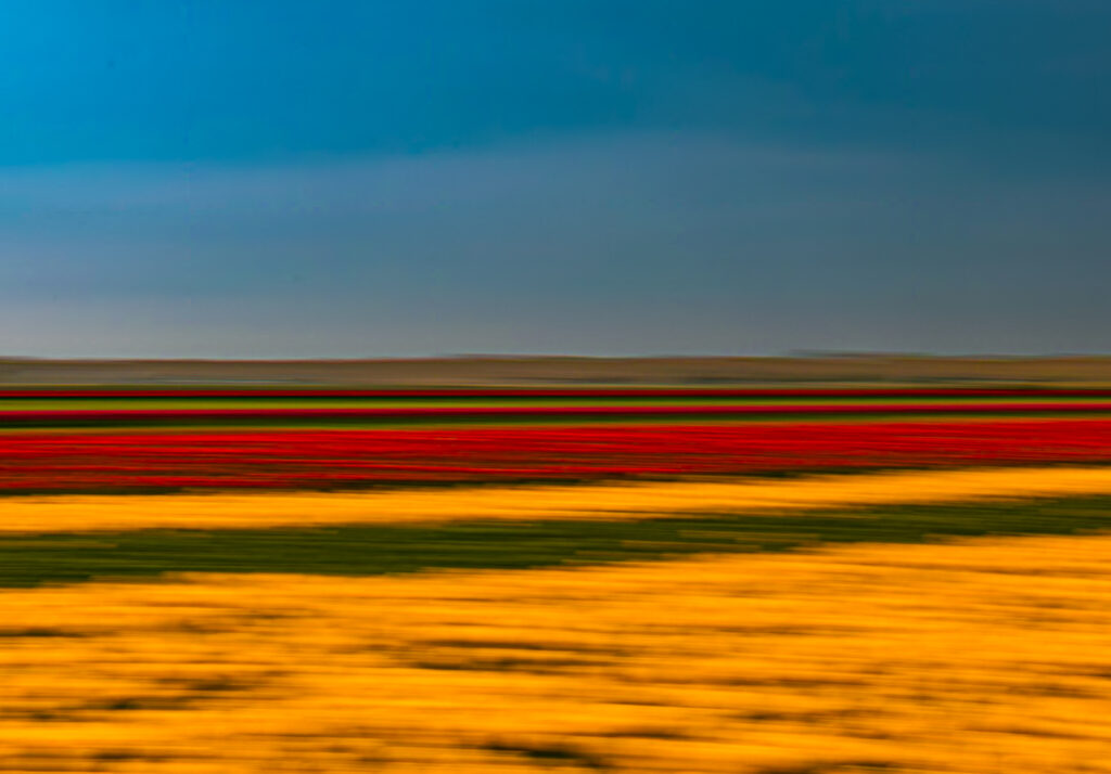 img 9215 verbessert rr